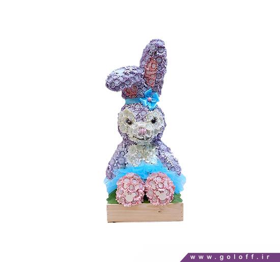 عروسک گل خرگوش اخمو - Flower Toy | گل آف